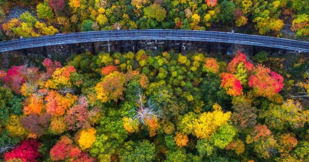  Top  O toamna splendida vazuta de sus