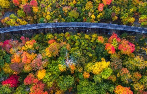  Top  O toamna splendida vazuta de sus. Imagini care merita studiate cu atentie
