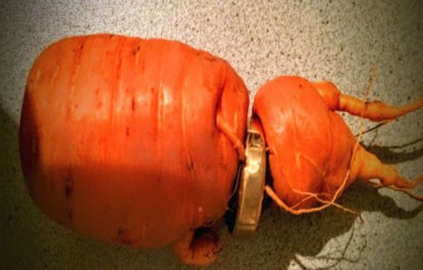 Acest barbat si-a pierdut verigheta. Unde a gasit-o 3 ani mai tarziu