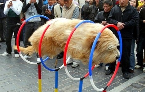  Top  10+2 momente amuzante surprinse la FIX! Cu siguranta vei zambi