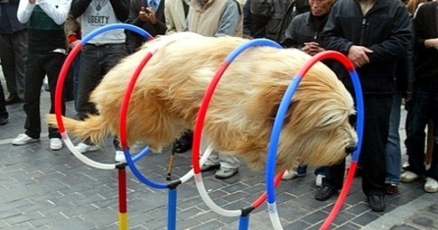  Top  10+2 momente amuzante surprinse la FIX! Cu siguranta vei zambi