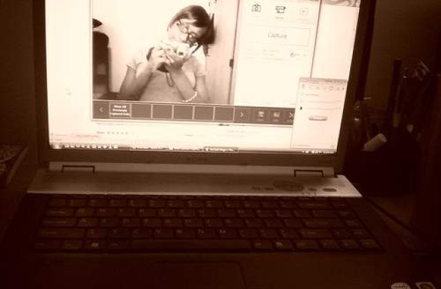 Experiment: Internautii "isi pierd capul" in fata unei domnisoare blonde