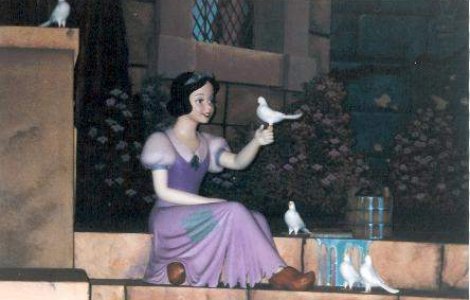 Previziuni legate de anul electoral 2012