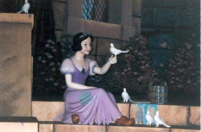 Previziuni legate de anul electoral 2012