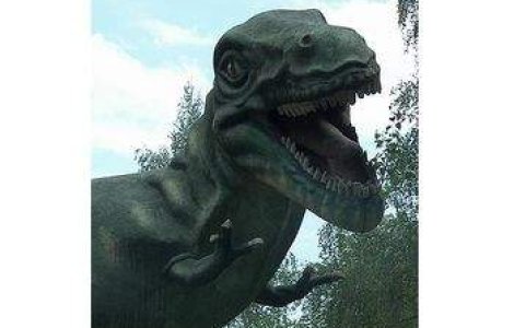 Dinozaur descoperit in Romania: Balaurul bondoc