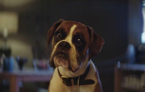  Video  Sa fie aceasta cea mai simpatica reclama de Craciun?