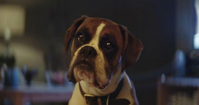 Sa fie aceasta cea mai simpatica reclama de Craciun?