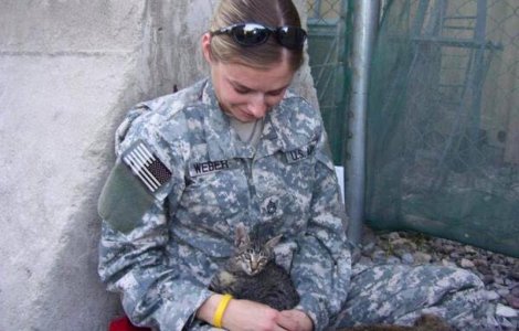 Cum a ajuns un soldat sa se intoarca din Afganistan in SUA cu o pisica