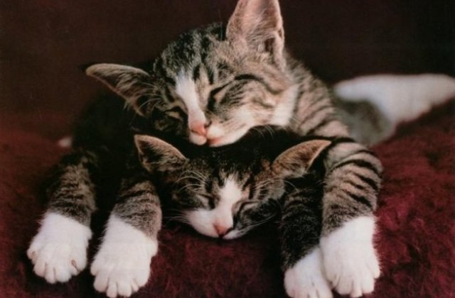 5 sfaturi care te vor ajuta sa dormi mai bine si sa te trezesti plin de energie