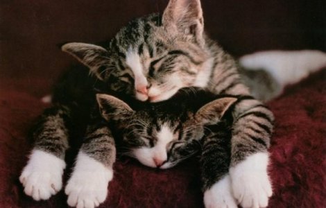  Top  5 sfaturi care te vor ajuta sa dormi mai bine