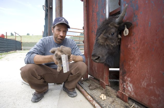 Cele mai murdare 10 meserii pe care le poti face in Romania