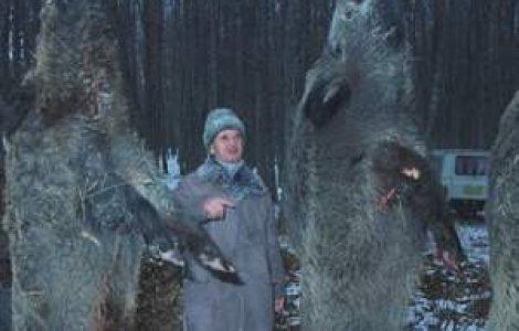 60% dintre parlamentari sunt vanatori