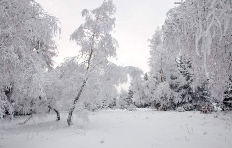  Video  Zapada s-a instalat in Meridionali