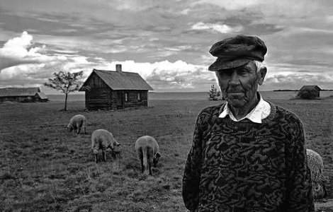  Top  Agricultura, la pamant: Fermierii, in strada