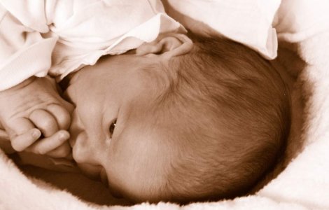 Branzan: Incidentul de la Giulesti a avut loc si din vina lui Boc