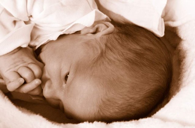 Branzan: Incidentul de la Giulesti a avut loc si din vina lui Boc