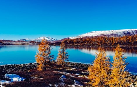  Top  La granita dintre toamna si iarna. Peisaje incredibile, care iti taie rasuflarea