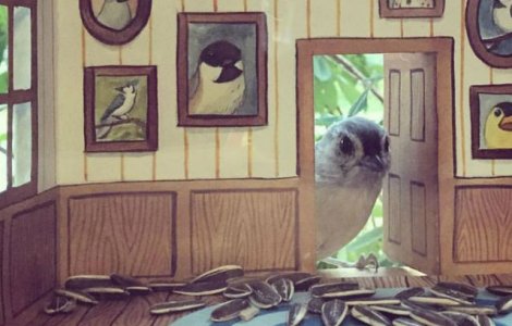  Foto  A construit o casa in miniatura pentru prietenele ei inaripate. Detaliile sunt impresionante