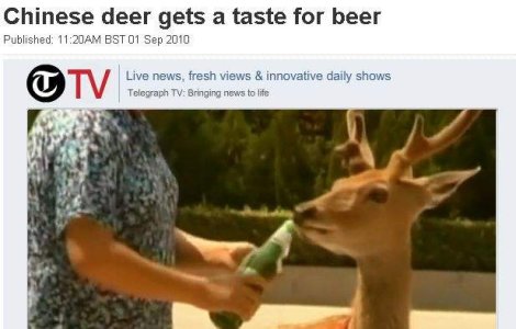  Video  China: Caprioara dependenta de bere