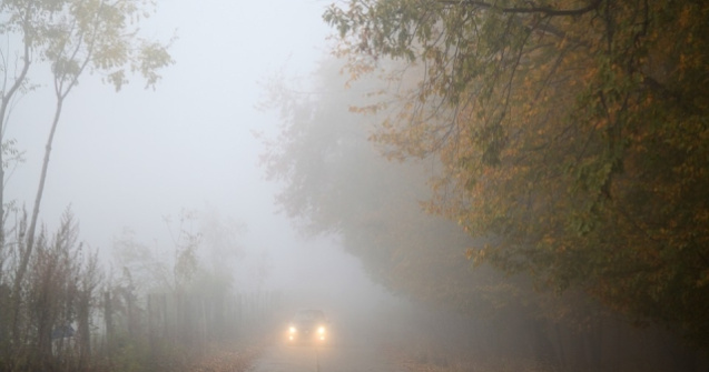  Update  Cod GALBEN de ceata in Harghita si Teleorman