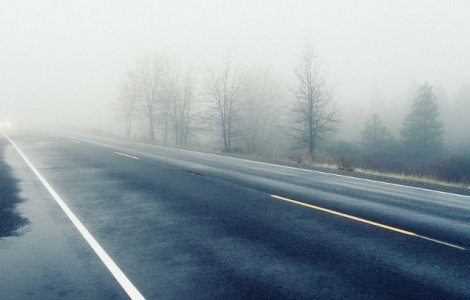 Cod GALBEN de ceata, burnita si polei in mai multe judete