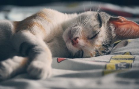 Ai probleme cu somnul? Uite cum poti adormi in doar 6 minute