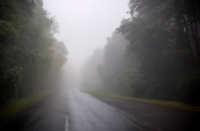 Cod GALBEN de ceata, burnita si polei in zece judete din zona Transilvaniei