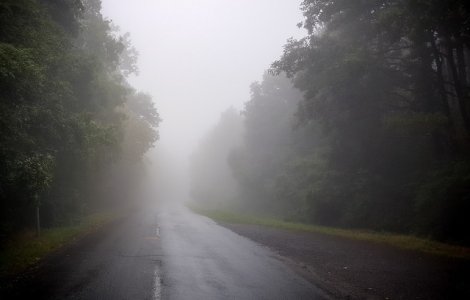 Cod GALBEN de ceata, burnita si polei in zece judete din zona Transilvaniei