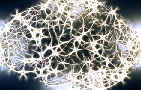 Renunta la aceste obiceiuri! Cele 4 lucruri care determina scaderea IQ-ului