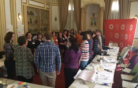 Crucea Rosie Romana a infiintat o retea de suport pentru femeile victime ale violentei domestice