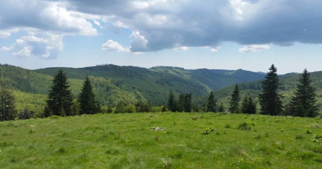 ANM: Vremea va fi in general buna in weekend