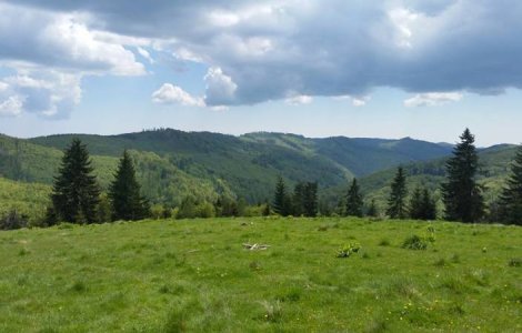 ANM: Vremea va fi in general buna in weekend