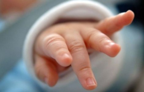 Cadavrul un nou-nascut, gasit intr-un tomberon, in Barlad