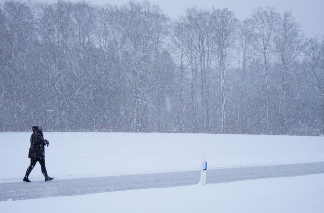 Cod GALBEN de ninsoare si viscol, in urmatoarele ore. Care sunt judetele vizate