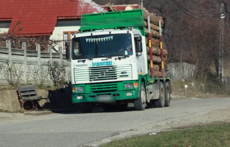 Greenpeace Romania a descoperit 35 de transporturi ilegale de lemn in Gorj, in valoare de 25.000 de euro