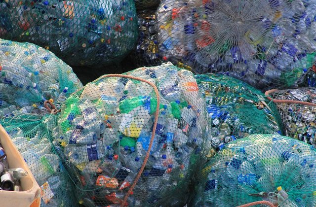 Studiu: 1 din 3 romani isi doreste sa se implice in actiuni de protectie a mediului si curatare a deseurilor