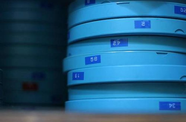 Cele mai importante pelicule independente