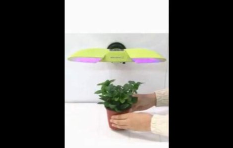  Video  Noul "soare de interior"