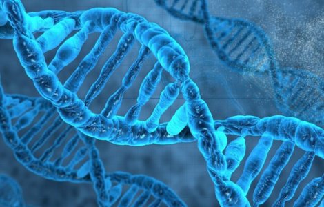 Marea Britanie vrea sa aprobe procedura prin care 3 oameni contribuie la nasterea unui copil