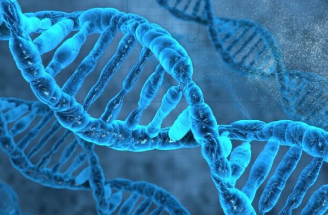 Marea Britanie vrea sa aprobe procedura prin care 3 oameni contribuie la nasterea unui copil