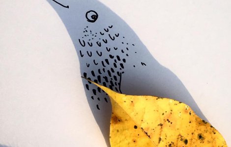  Top  10+2 ilustratii amuzante cu umbre