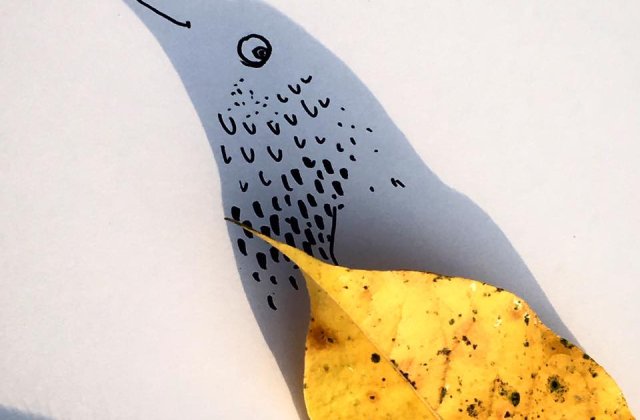 10+2 ilustratii amuzante cu umbre