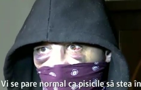  Video  Barbat din Galati, batut crunt dupa ce si-a lasat cainele sa sfasie o pisica. Cum isi explica gestul