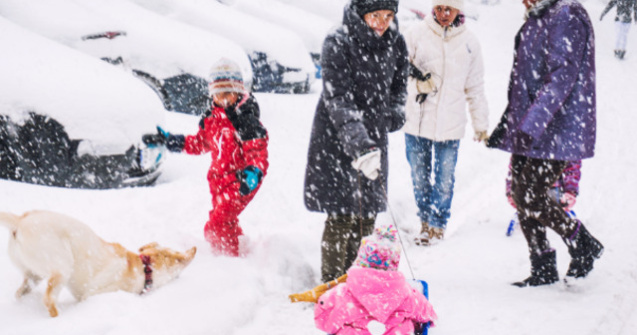 Ghid de supravietuire in sezonul rece