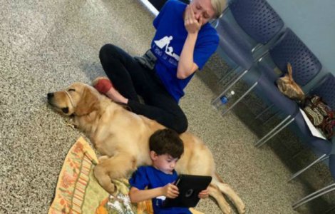 Motivul induiosator pentru care aceasta imagine a devenit virala