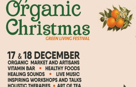 Organic Christmas iti aduce natura in mijlocul orasului!