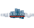 Caelum Development