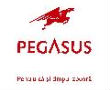 Pegasus