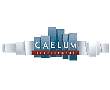 Caelum Development