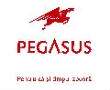 Pegasus